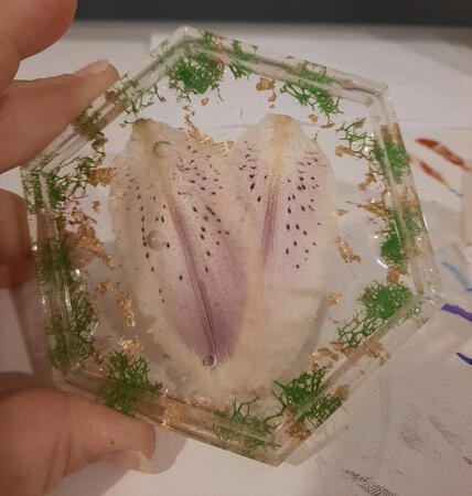 Flower Coaster